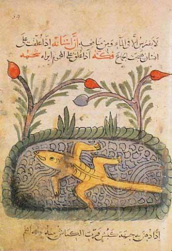 Kitab al-Hayawan. Sebuah kitab berisi ensklopedia berbagai jenis binatang karya ahli ilmu hewan muslim al-Jahiz. Pada kitab ini al-Jahiz memaparkan berbagai macam teori, salah satunya mengenai interaksi antara hewan dengan lingkungannya.